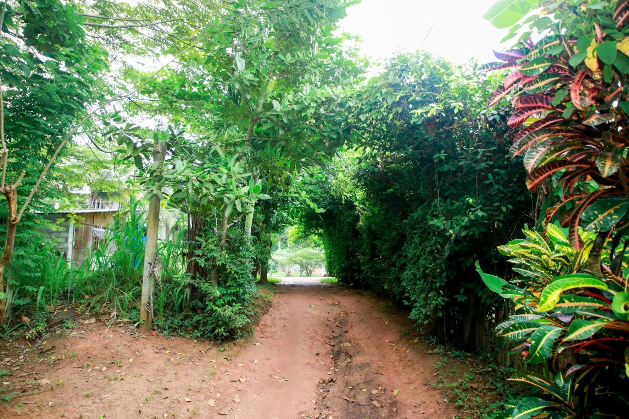 Leo Homestay Dickwella Exterior photo