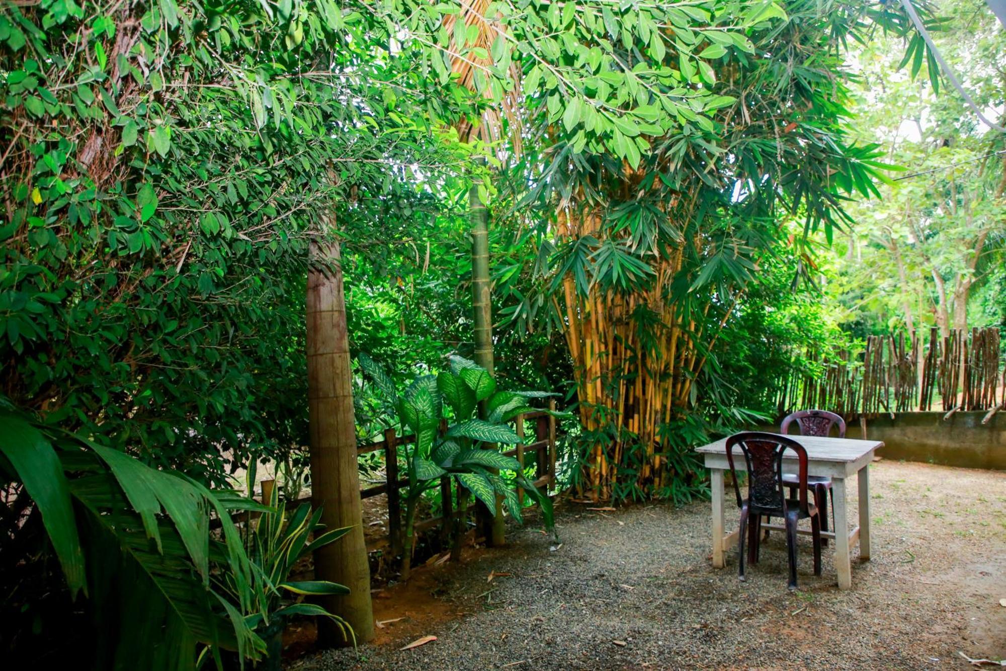 Leo Homestay Dickwella Exterior photo